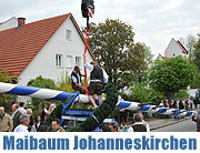 Maibaum 2010 in Johanneskrichen (Foto Nathalie Tandler)